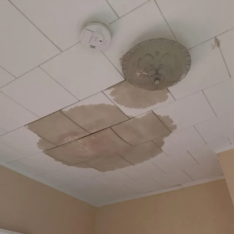 Ceiling Water Damage Repair in Abbeville, LA